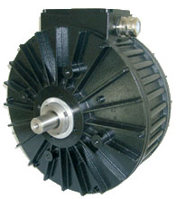 Электродвигатель Perm-Motor PMS-156